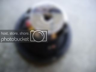 ozback.jpg