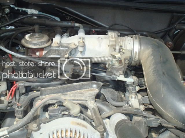 DSC00146.jpg