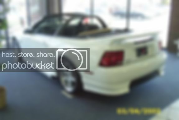 mustang.jpg