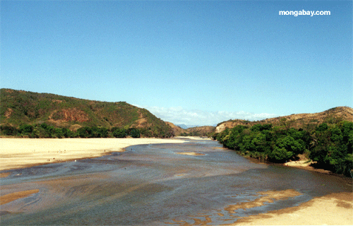 Madagascar_riverbed.gif