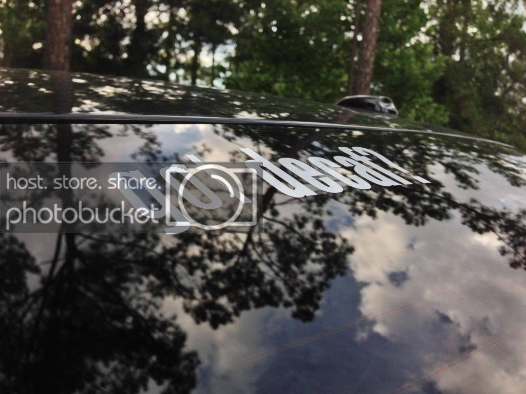 IMG_1502_zps4fef9052.jpg