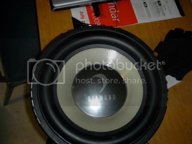 DSC03284.jpg