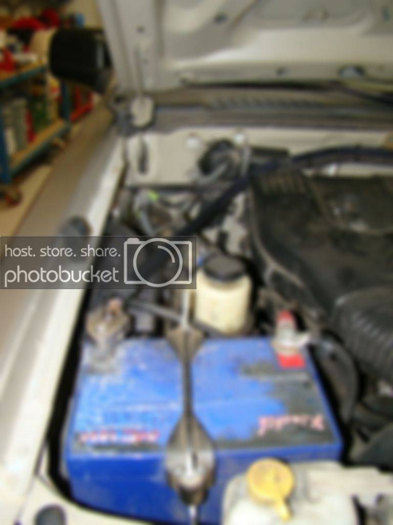 DSC00065.jpg