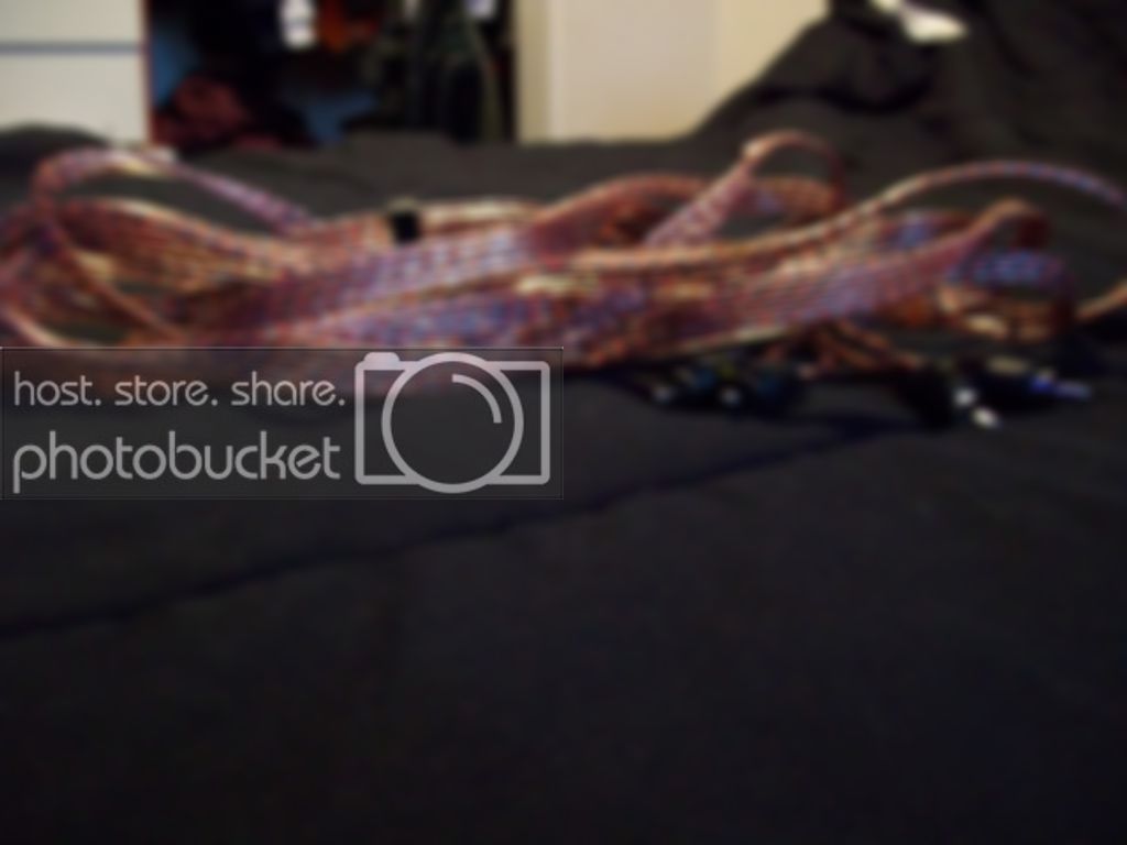 100_0102.jpg