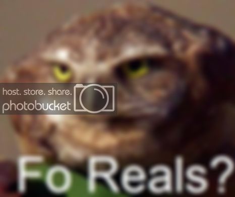forrealz.jpg