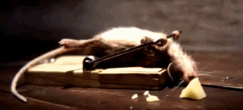 mrc2pmh1445.gif