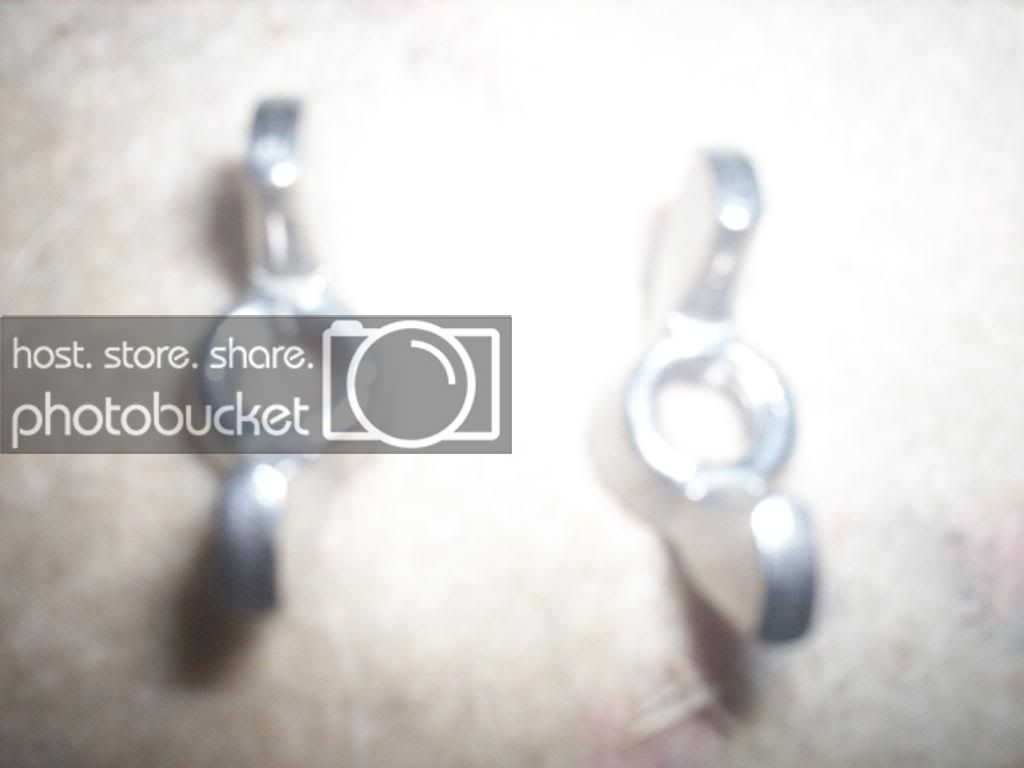 100_0216copy.jpg
