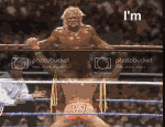 hoganshero7id8wvar6.gif