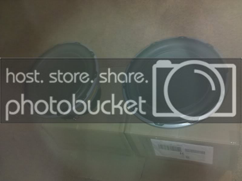2010-02-01192600.jpg
