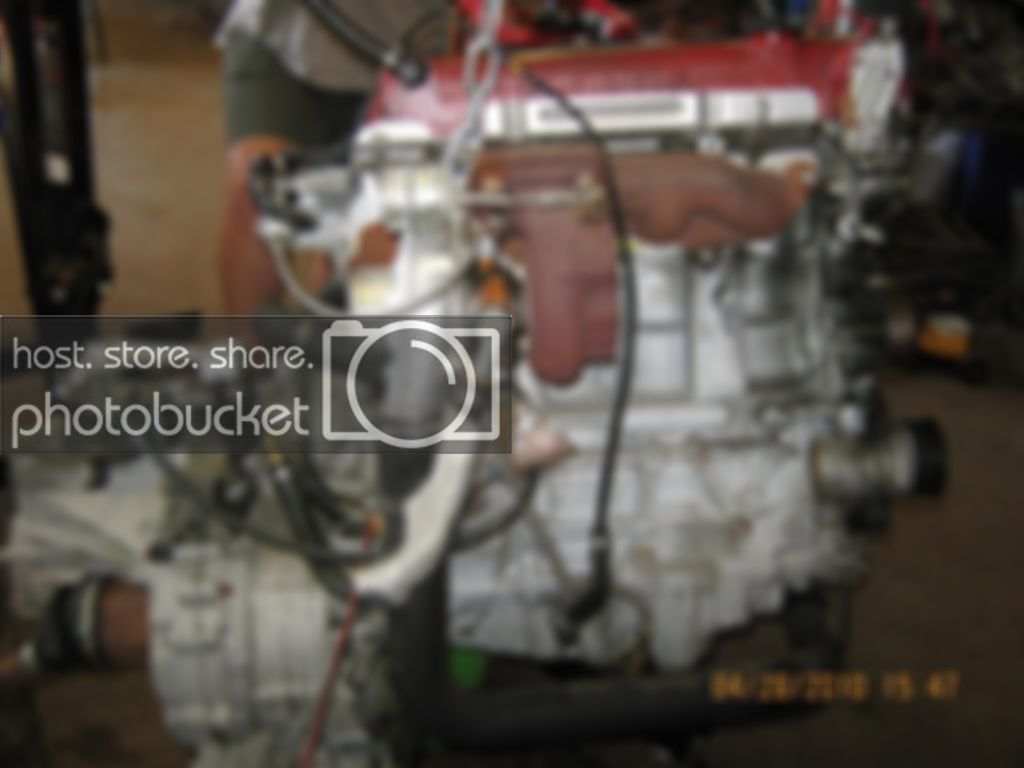 steeda004.jpg