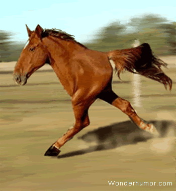 CreepyHorse.gif