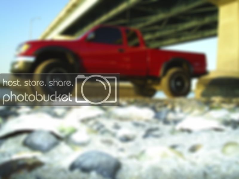 S4011524.jpg