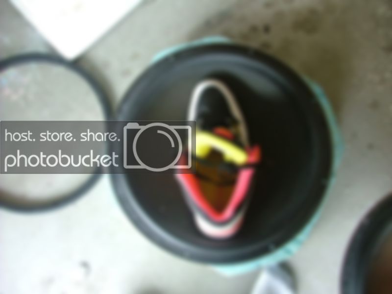 DSCF3533.jpg