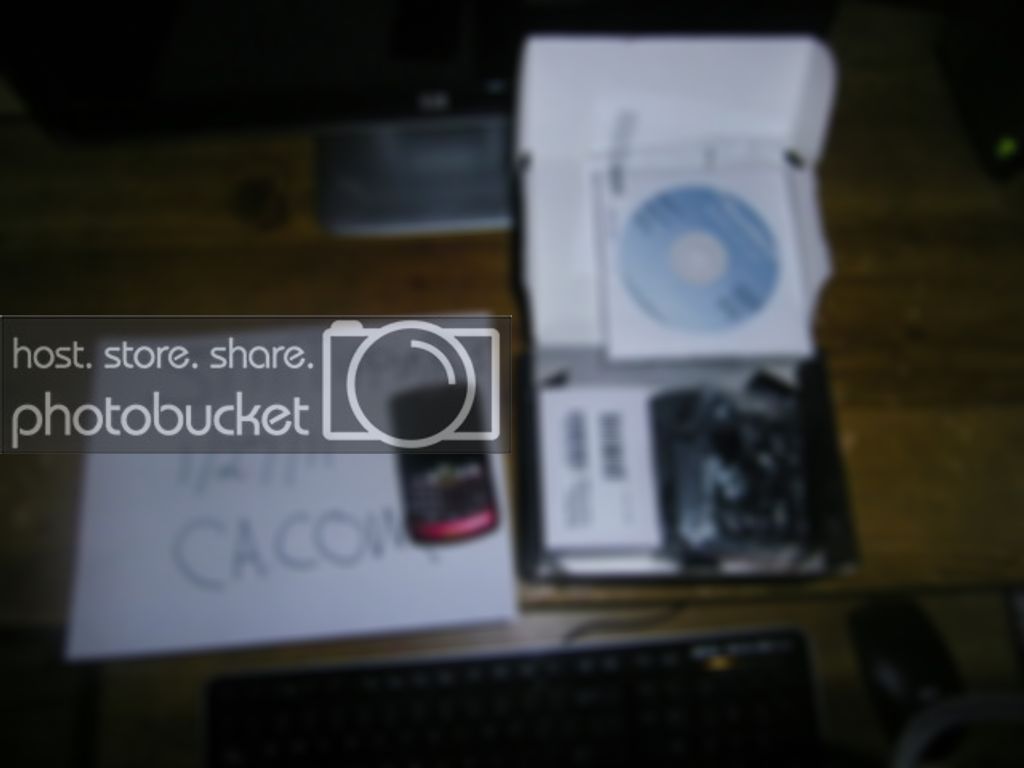 ampblackberry004.jpg