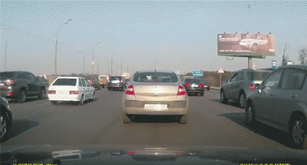 5d6z561.gif