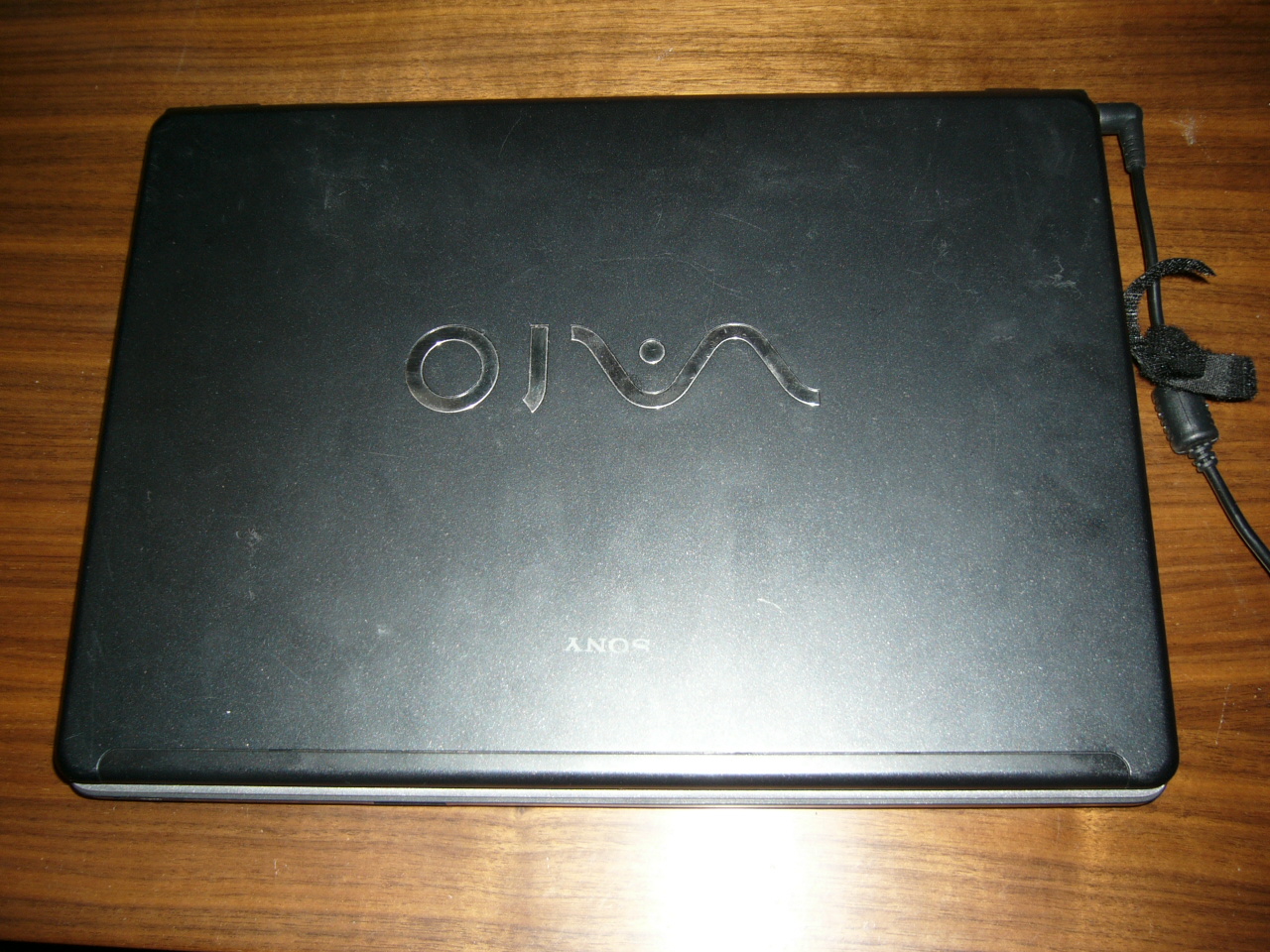 P1030106.JPG