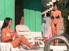 8b865721ee43705a627e65a94b1a1bedjpg.gif