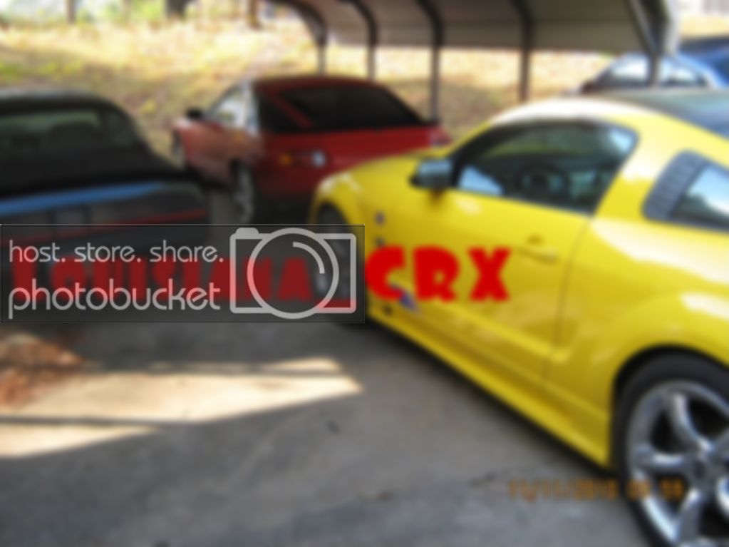 rides001-1.jpg
