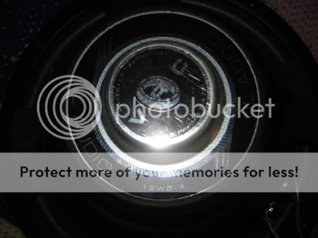 DSC08116.jpg