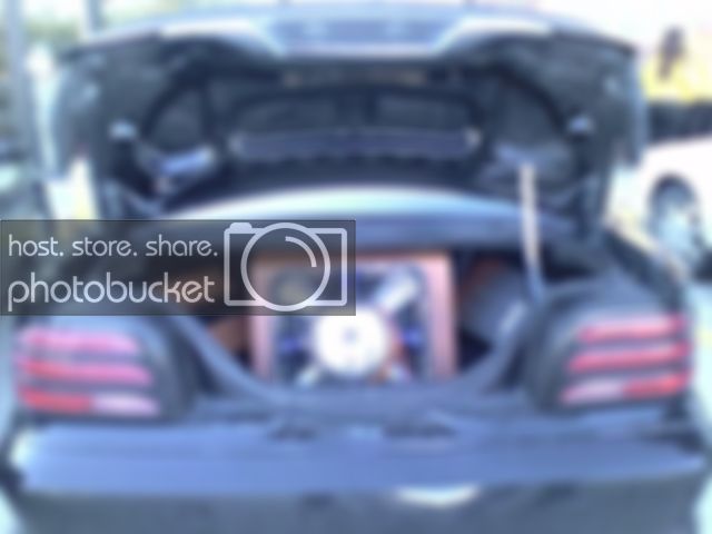picsofthetrunk.jpg
