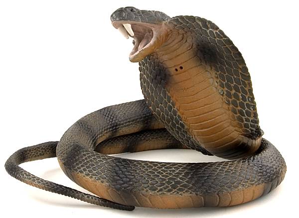 cobra-snake-plastic.jpg