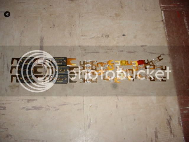 DSC02533.jpg