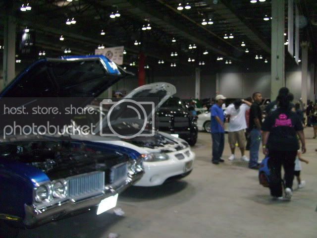 PICT0229.jpg