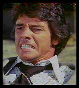 foxydemoum.JPG