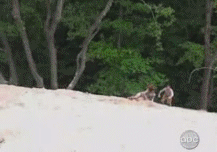 1255351735_tree_jump_fail.gif