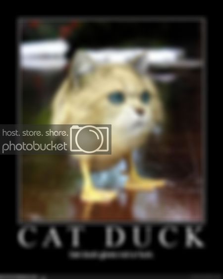cat_duck.jpg