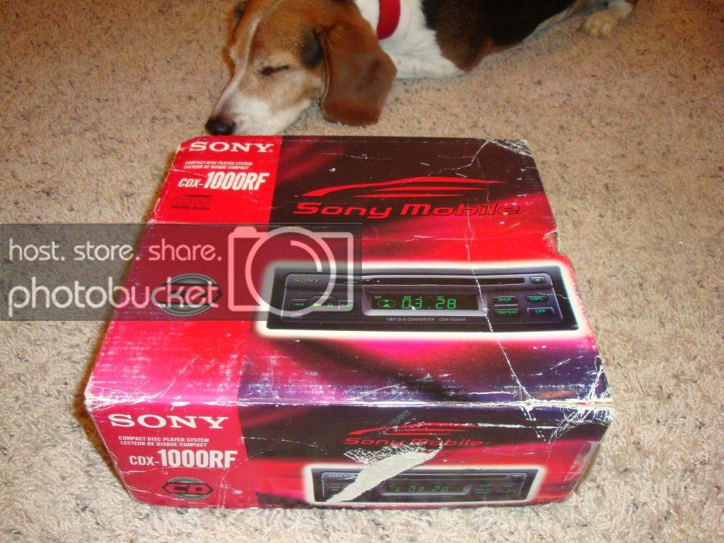 DSC03767.jpg