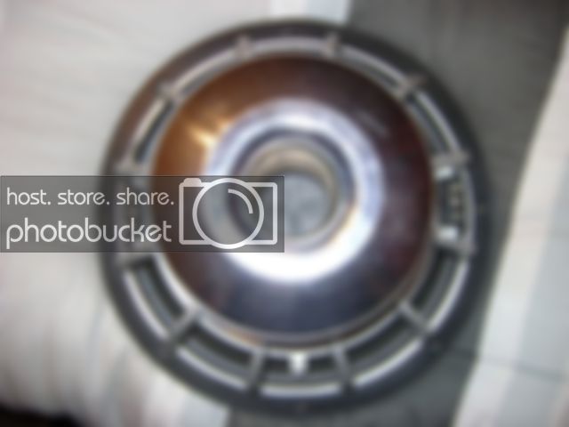 DSC01417.jpg