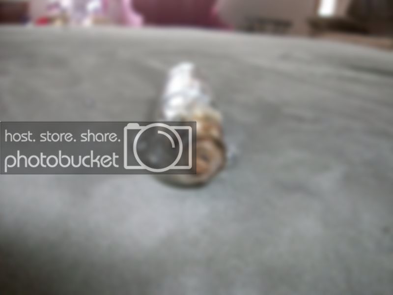 100_1509.jpg