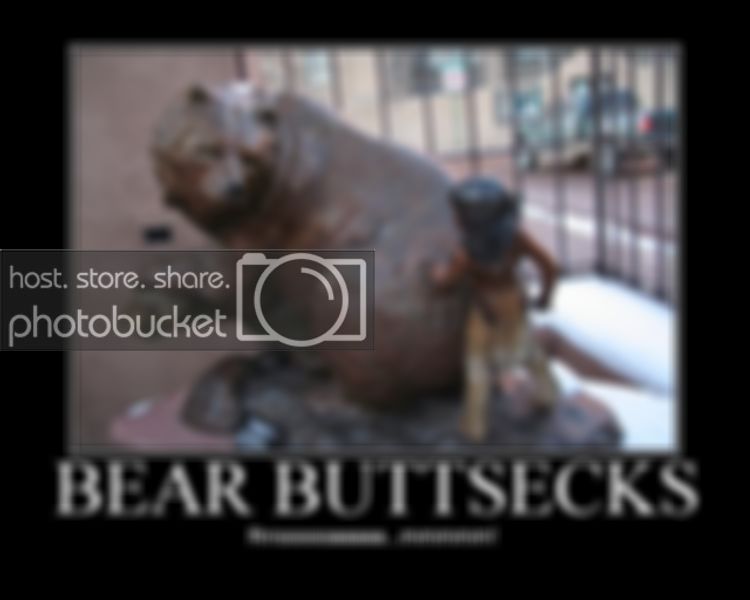 Bear.jpg