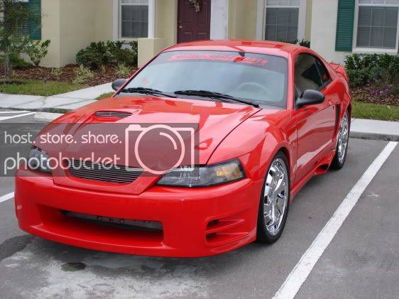 mustang2.jpg