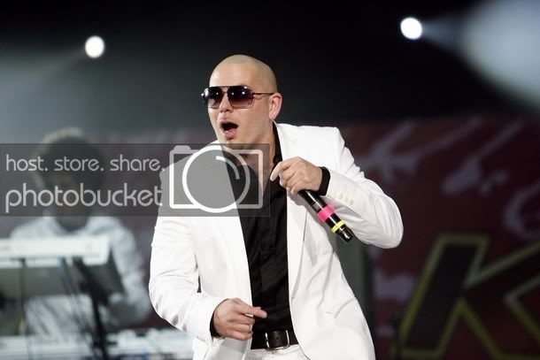 pitbull.jpg