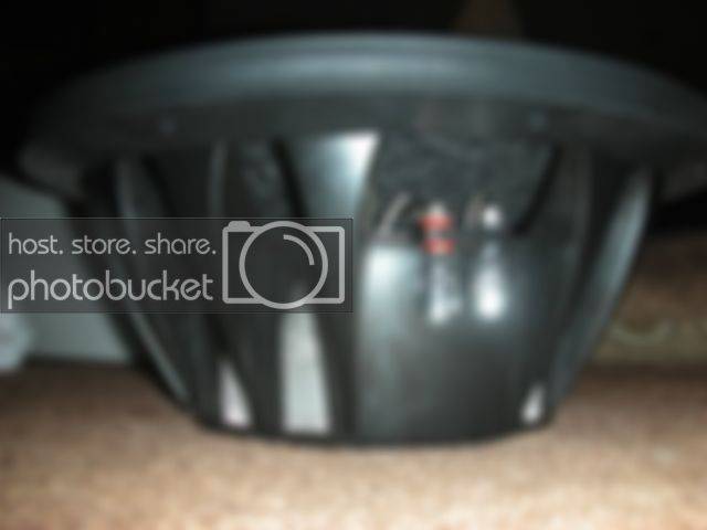 DSCN3494.jpg