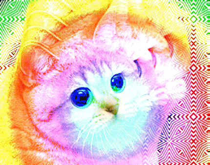 70fafcb7926c387a624f2f215f9058d1.gif