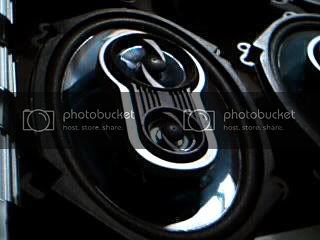 Picture8.jpg