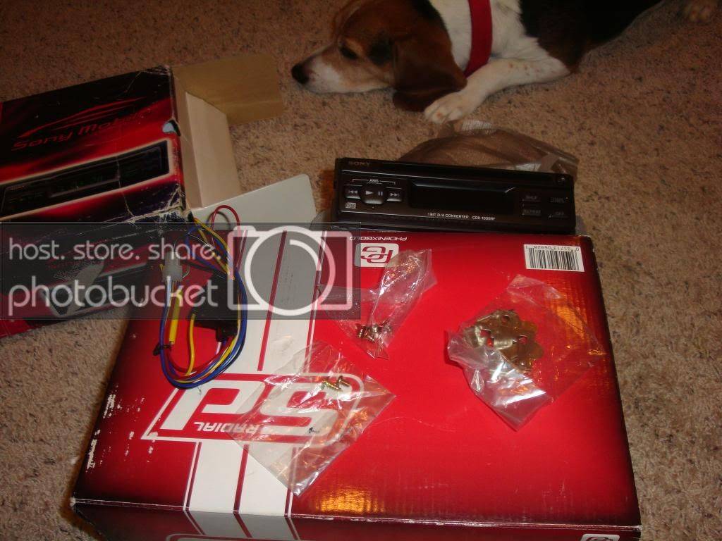 DSC03768.jpg