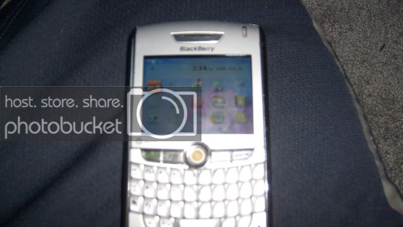 S6301039.jpg