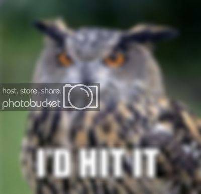 ihititowl.jpg