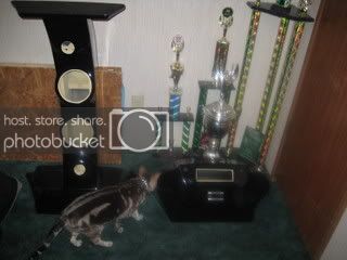 audiopics2008.jpg
