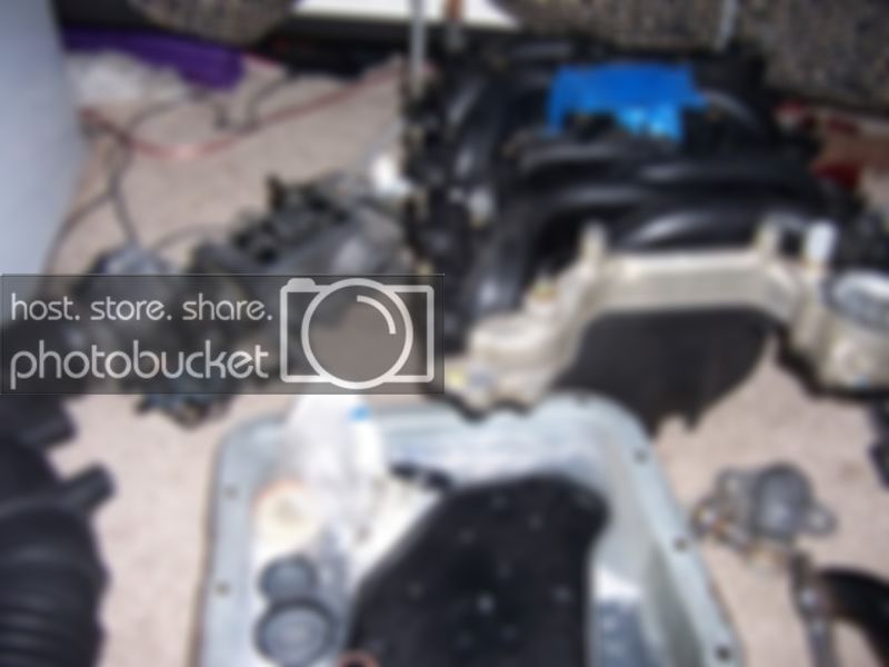 intakeNheaders003.jpg