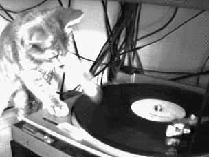 dj_cat.gif