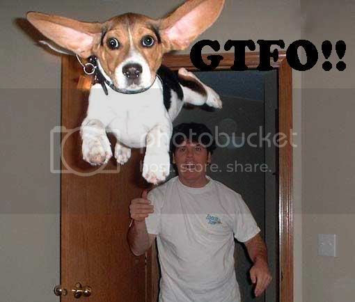 gtfo_forum_10.jpg