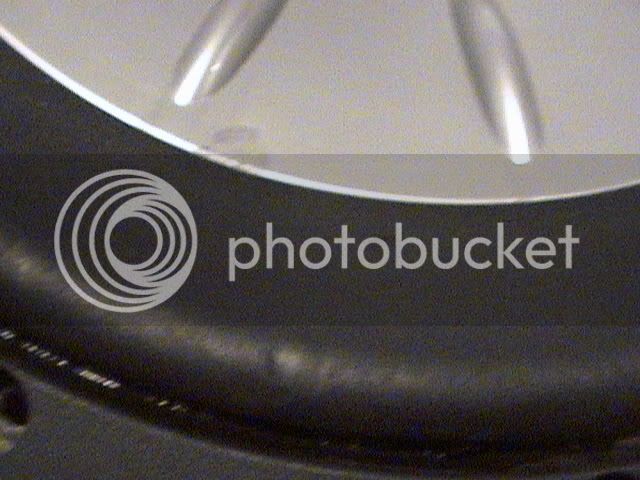 DSC01036.jpg