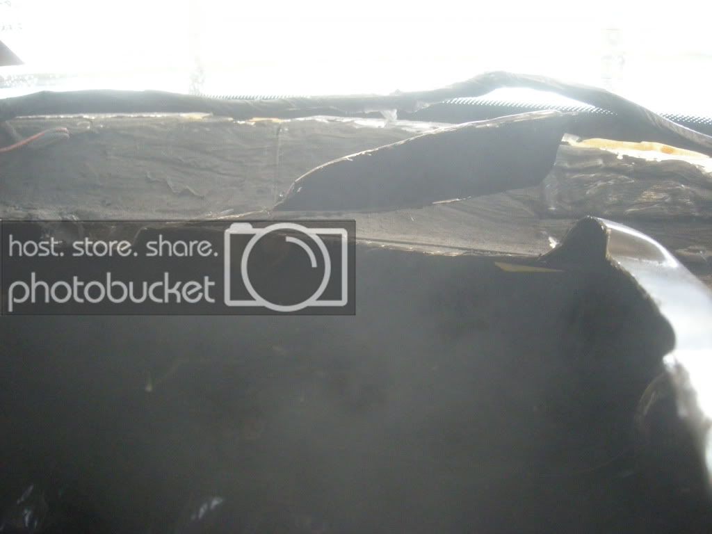 DSCN3100.jpg