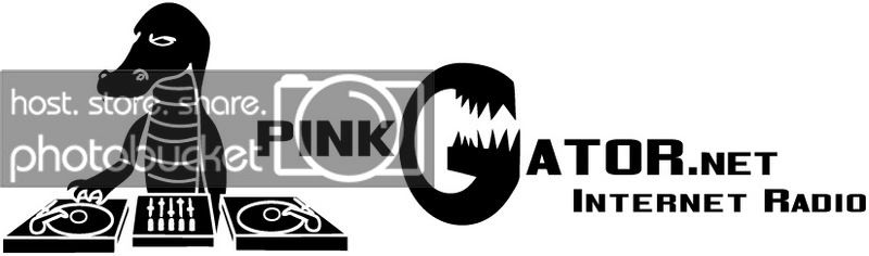 pinkgatorradiovinyl.jpg