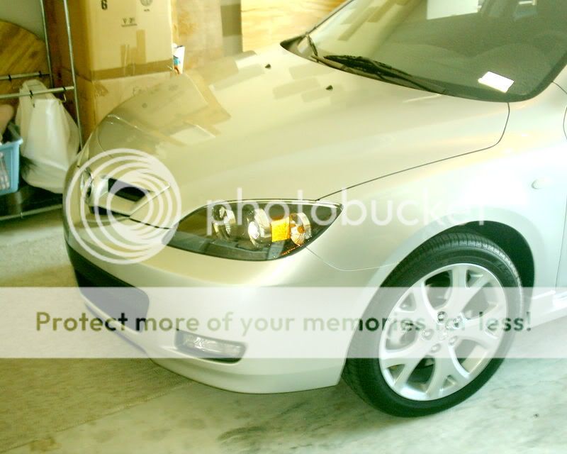 stupidpictures003.jpg